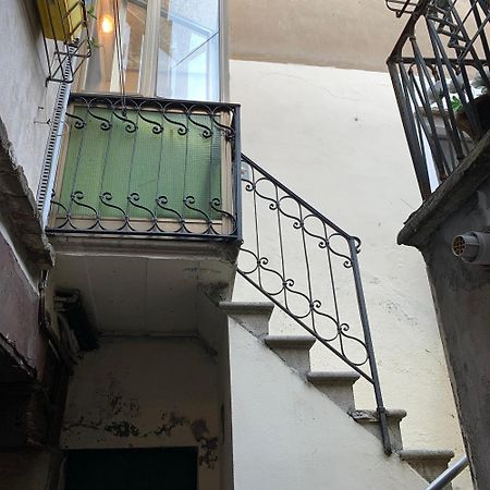 Eagle'S Nest Venice Guest House エクステリア 写真